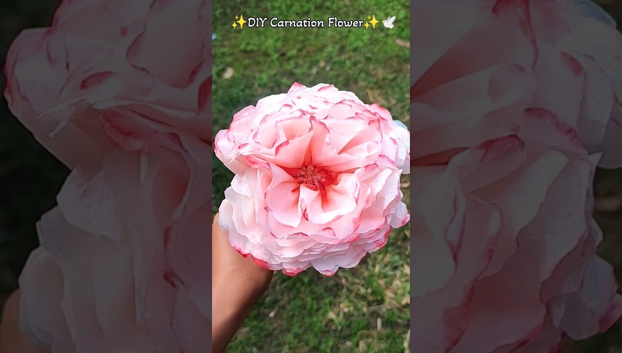 Tissue paper carnation flower making | Diy paper flowers #diy #papercrafts #short