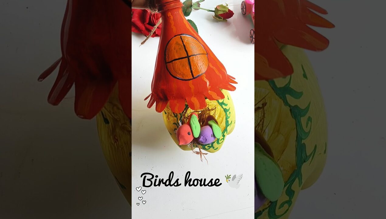 Diy Birds House 🕊️#viralshort #trending #craft #shorts #youtubeshorts #recycledart #diyideas #diy