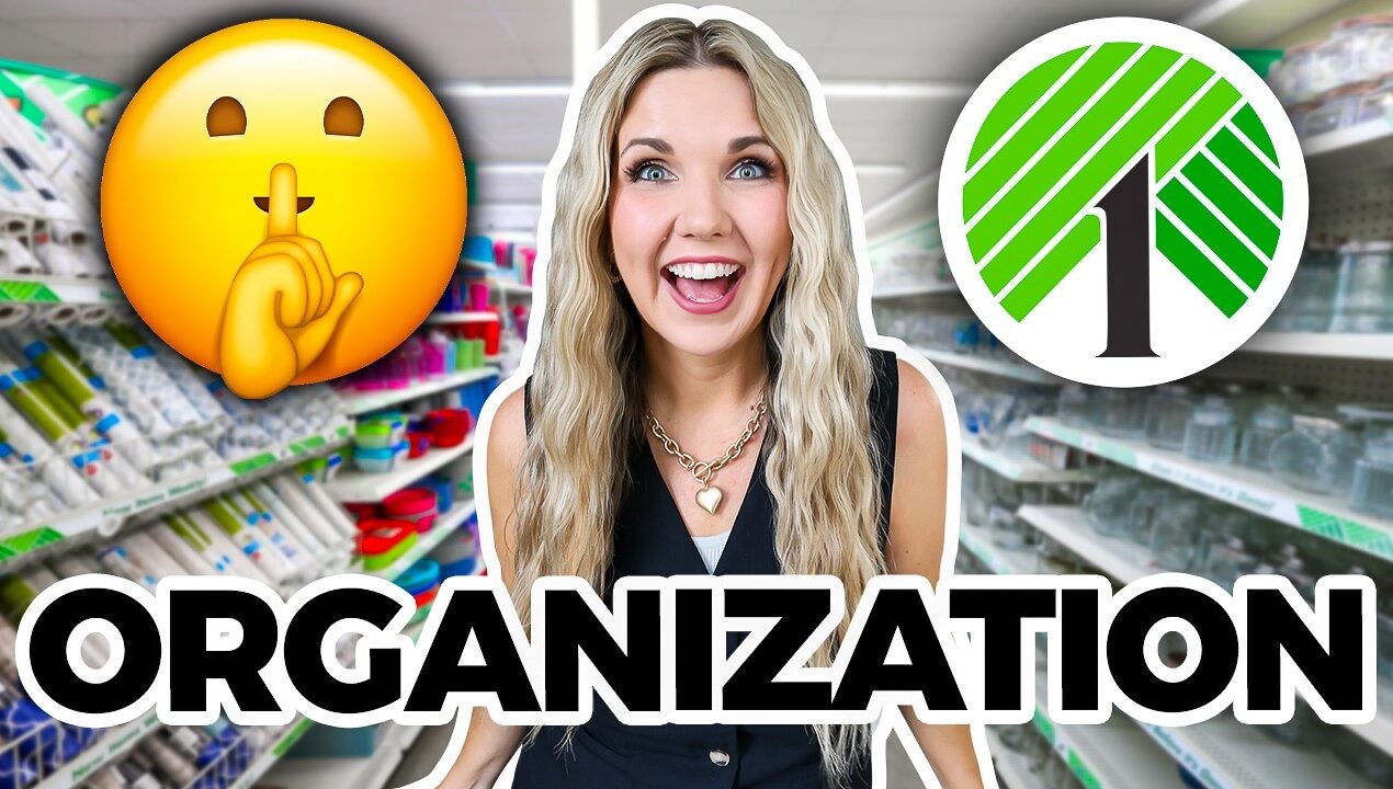 Organize your ENTIRE house with Dollar Tree items!