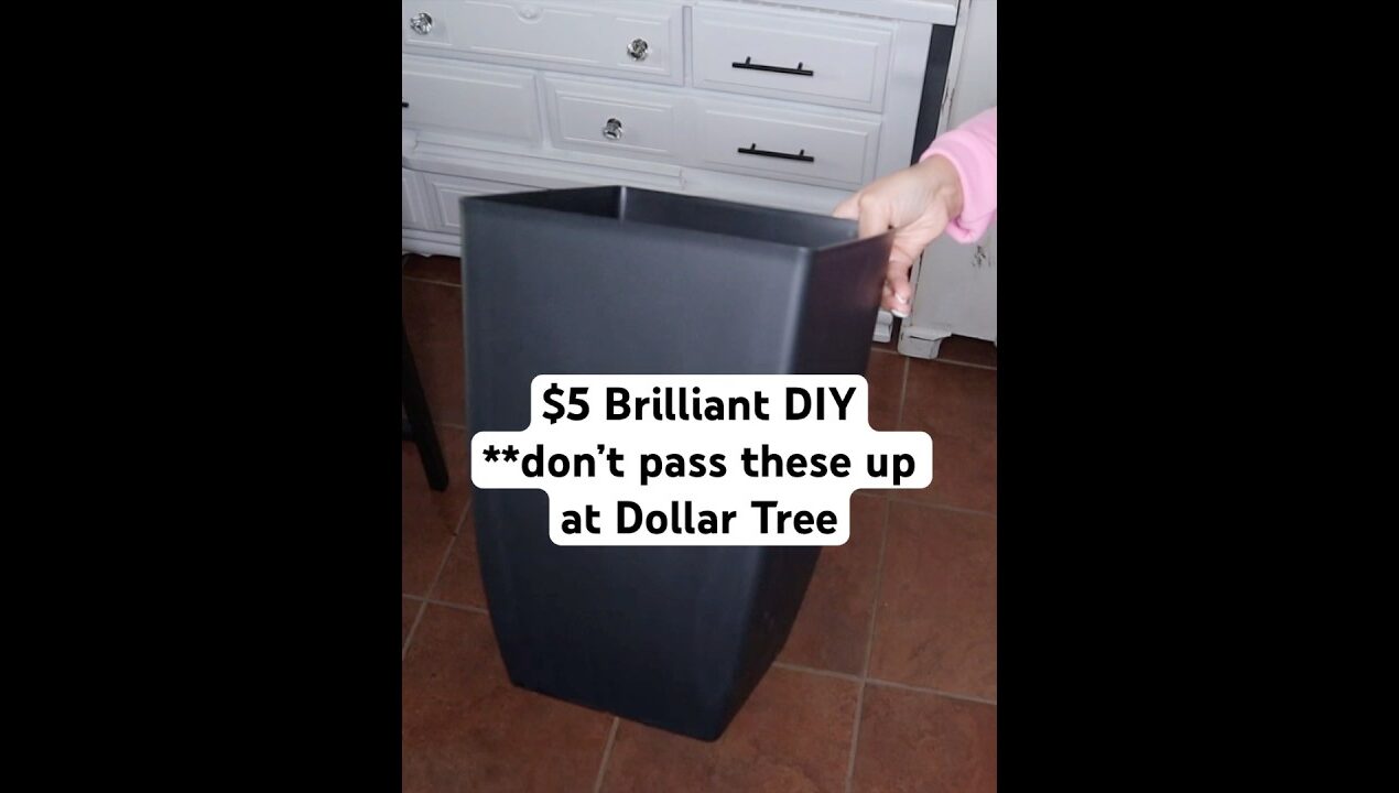 $5 Brilliant DIY DON’t pass these up! #diy #shorts #new #shortvideo