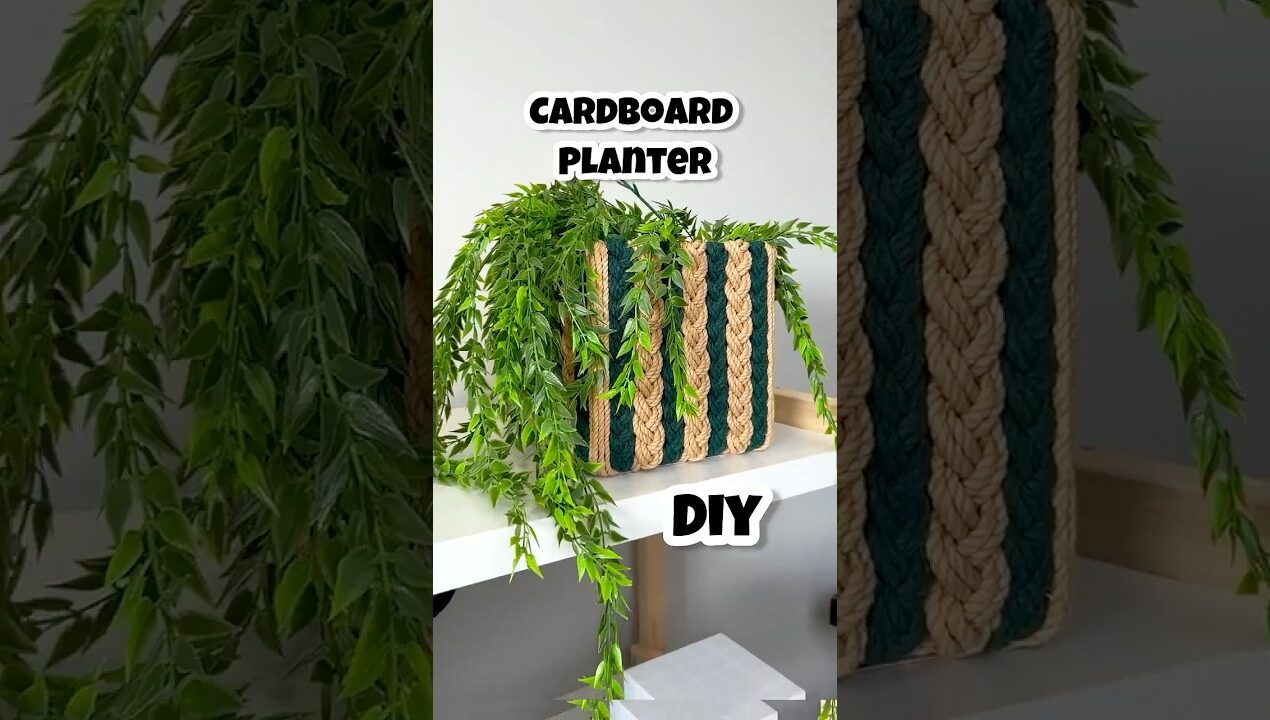 Mannu ne ki Mere Plants ki insult 😡 #diy #planter #macrame #craft