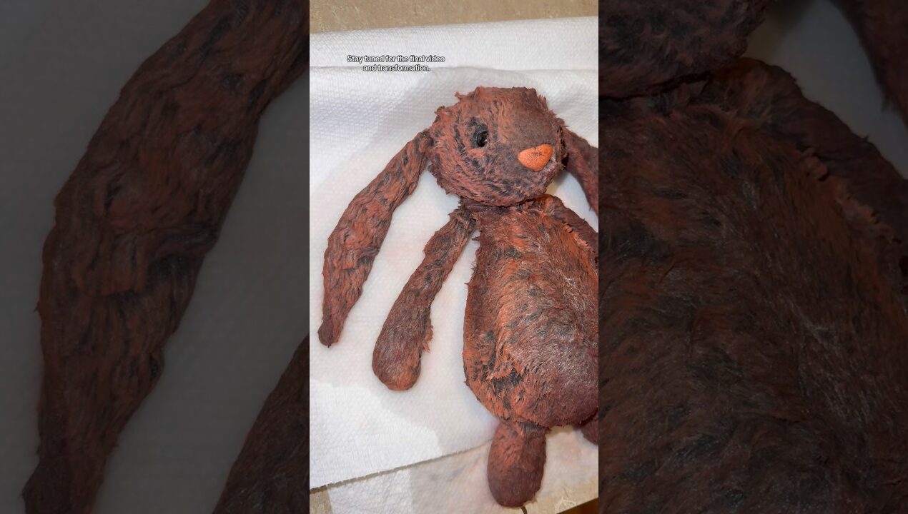 🍑🐰 #jellycat #jellycats #jellycatcollection #customized #diy