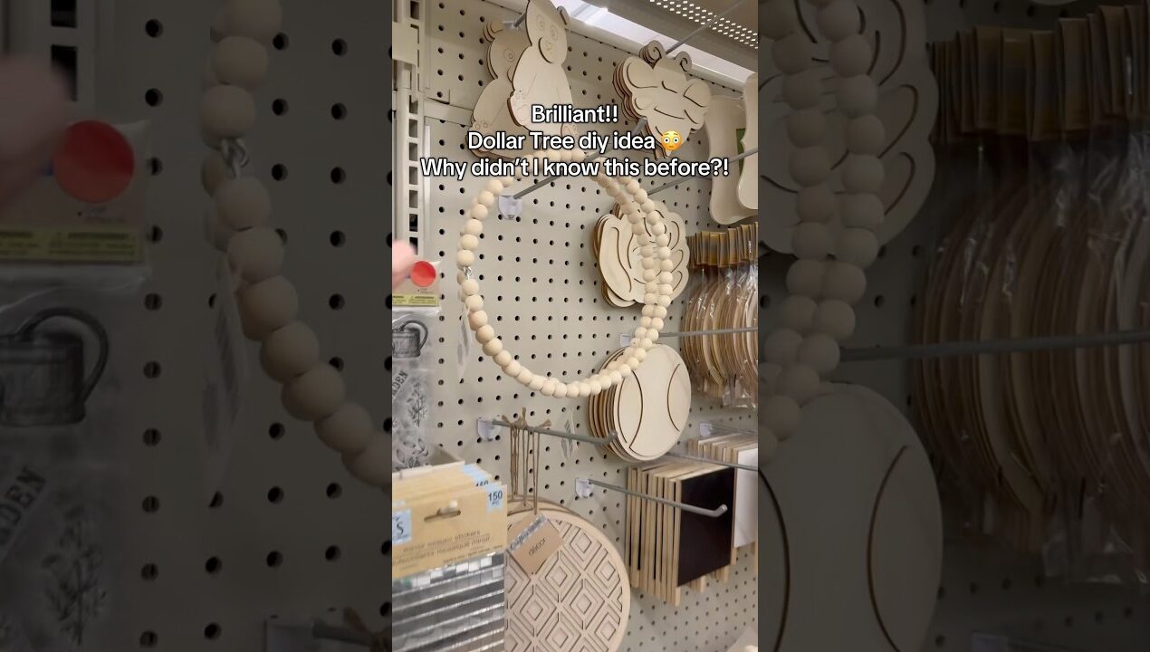 Dollar tree organization idea for any occasion #diy #dollartree #organization #homehacks #viral