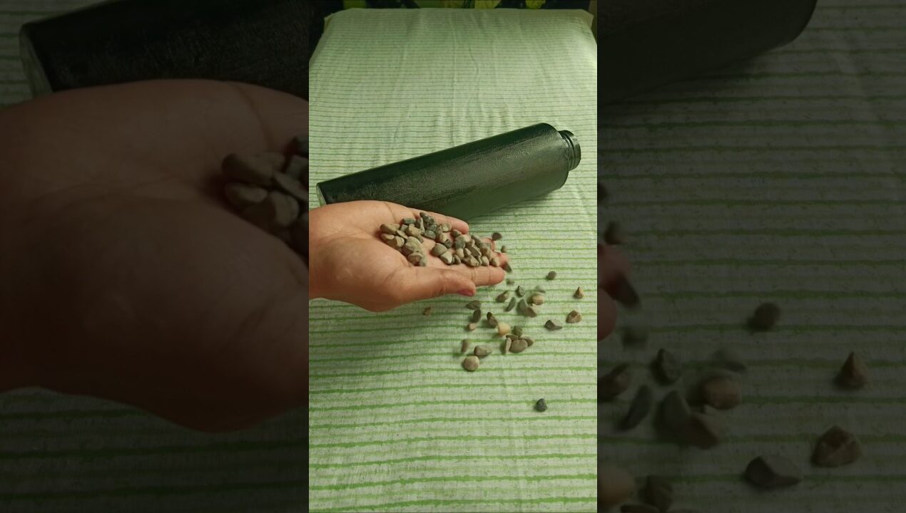 पत्थरों से कलाकारी || flower vase diy idea || #diyflowervase #shortfeed