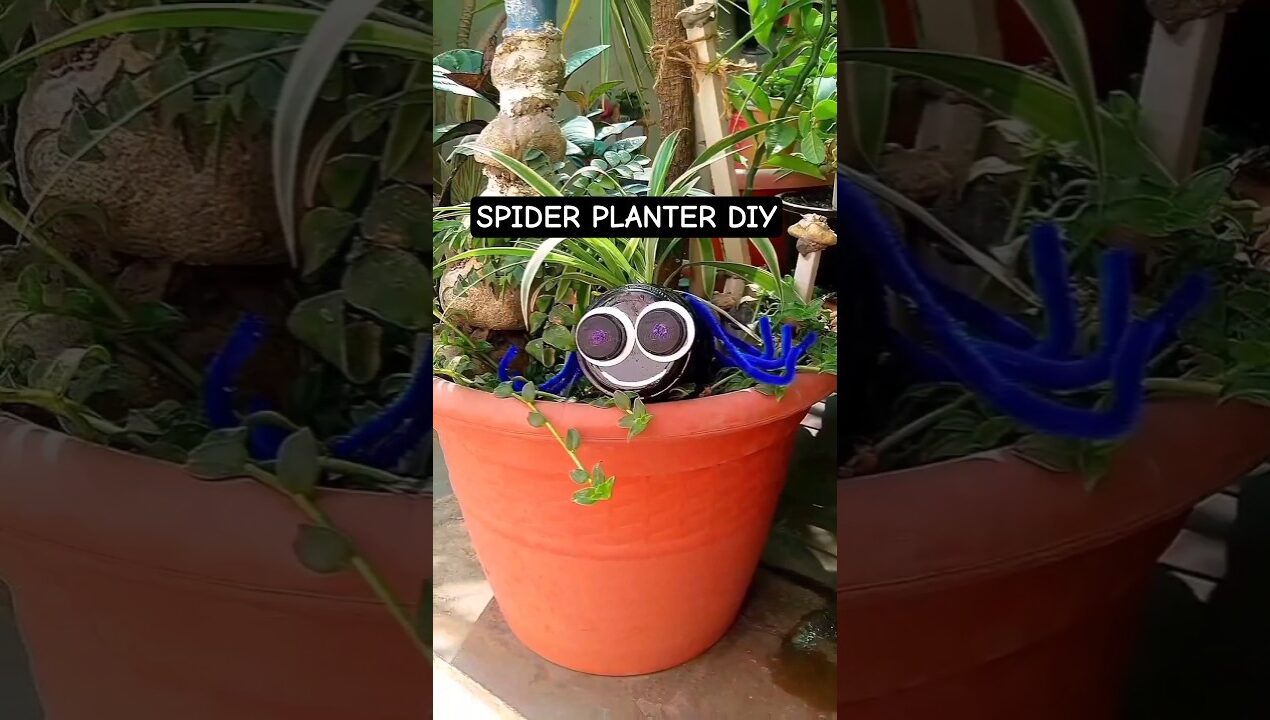 #planter #diyplanter #planterdiy #hildacrafty #diy #gardendecor#fundiy #cuteplanter #bestoutofwaste