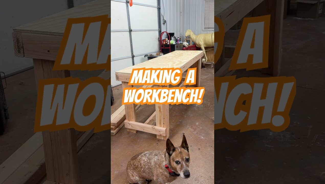 Making a DIY workbench table for my taxidermy shop! 🦌🔨 #diy #workbench #howto #taxidermy #workshop