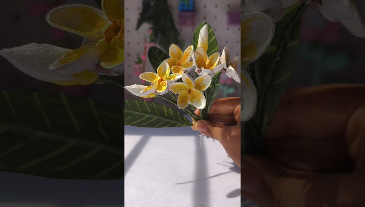 DIY Pista Shells Plumeria 🌼#viralvideo #shorts#craft #pistashellcraft #pinterest#handmade #homedecor