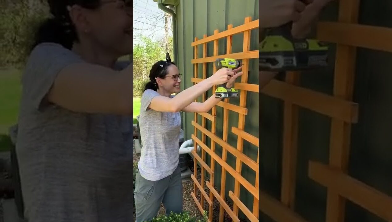 DIY Vertical Planter – Wall Planter – #shorts