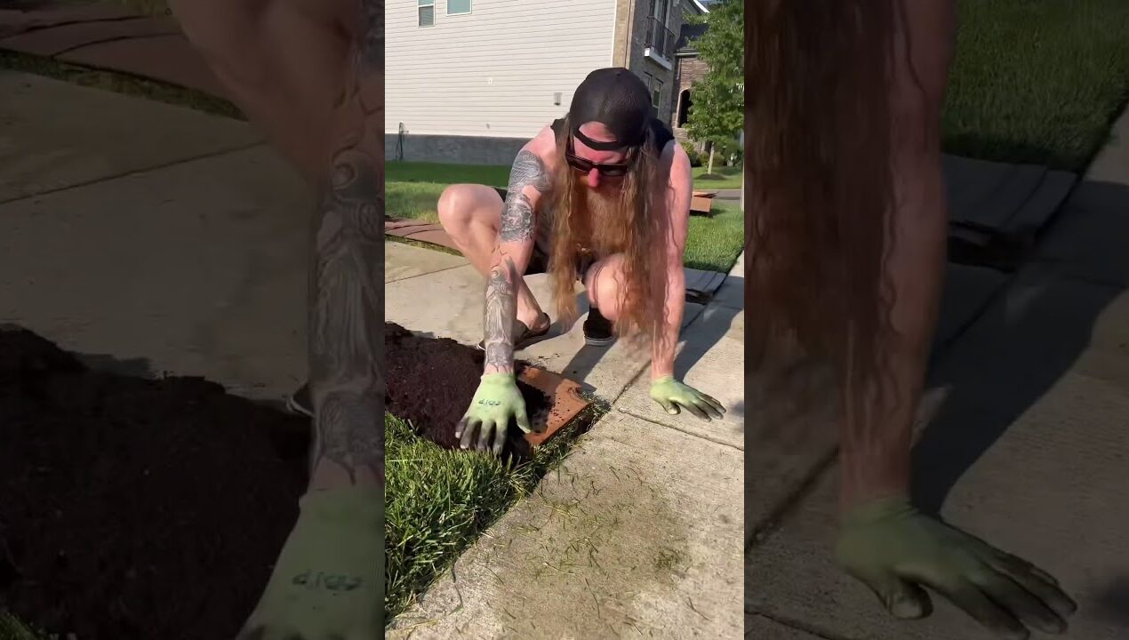 DIY No Dig Gardening Hack