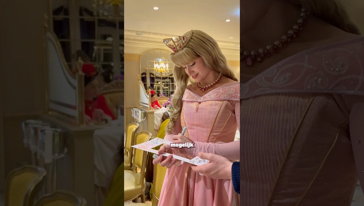 BUDGET DISNEYLAND PARIJS SOUVENIR !! ✨😱💰 #DisneylandParis #DisneyDiy #DisneylandParijs #diy