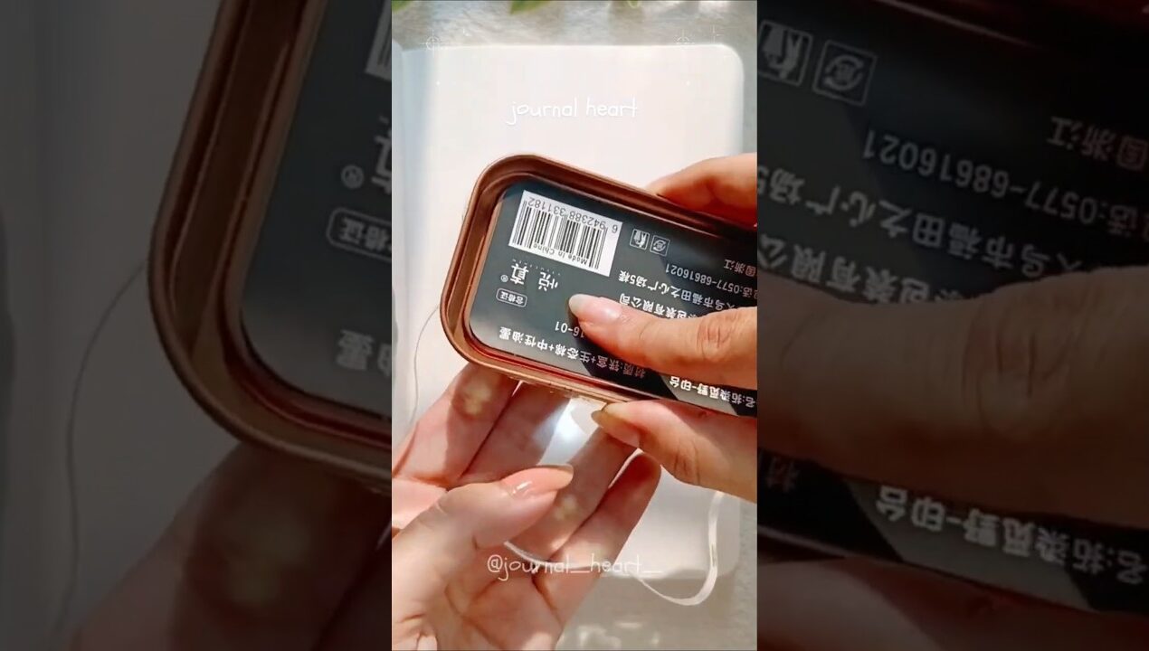 എന്തോ ഒരു ഇത് 😅 Ancient China ˚˖𓍢ִ໋`🌿: journal with me #ideas #sticker #diy #pinterest #aesthetic