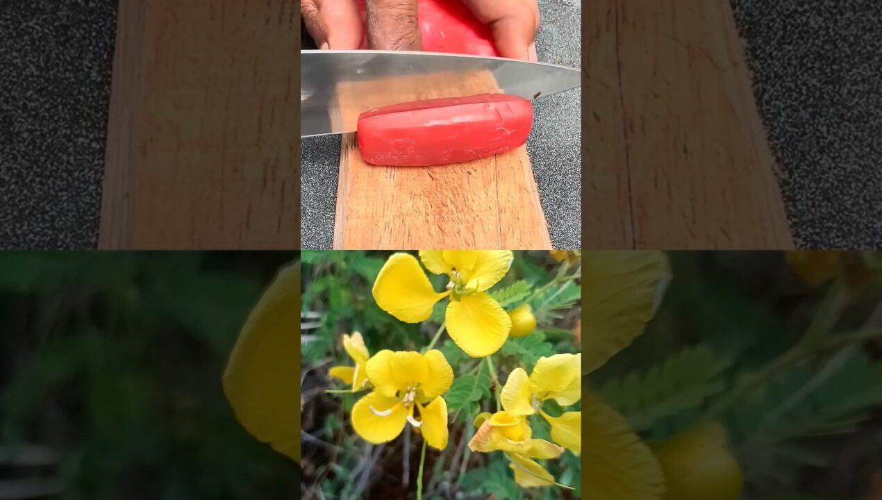 A Practical Washing Sponge Hack and Idea! #diy #lifehack #ideas #tips #shorts