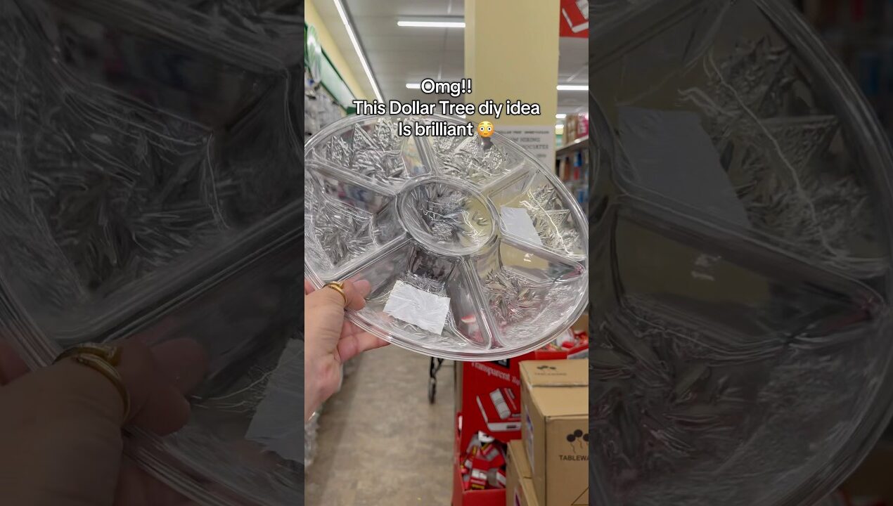 Dollar tree organization idea for any occasion #diy #dollartree #organization #viral