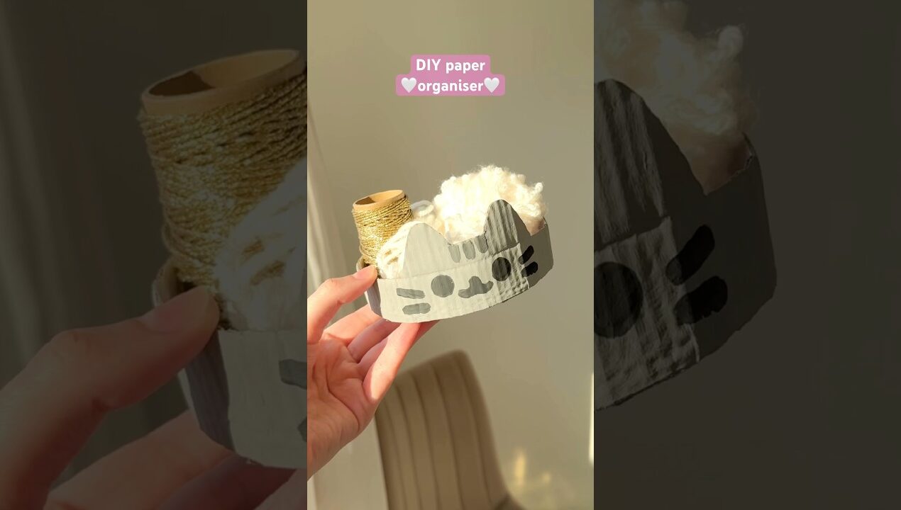 DIY cat organiser🤍