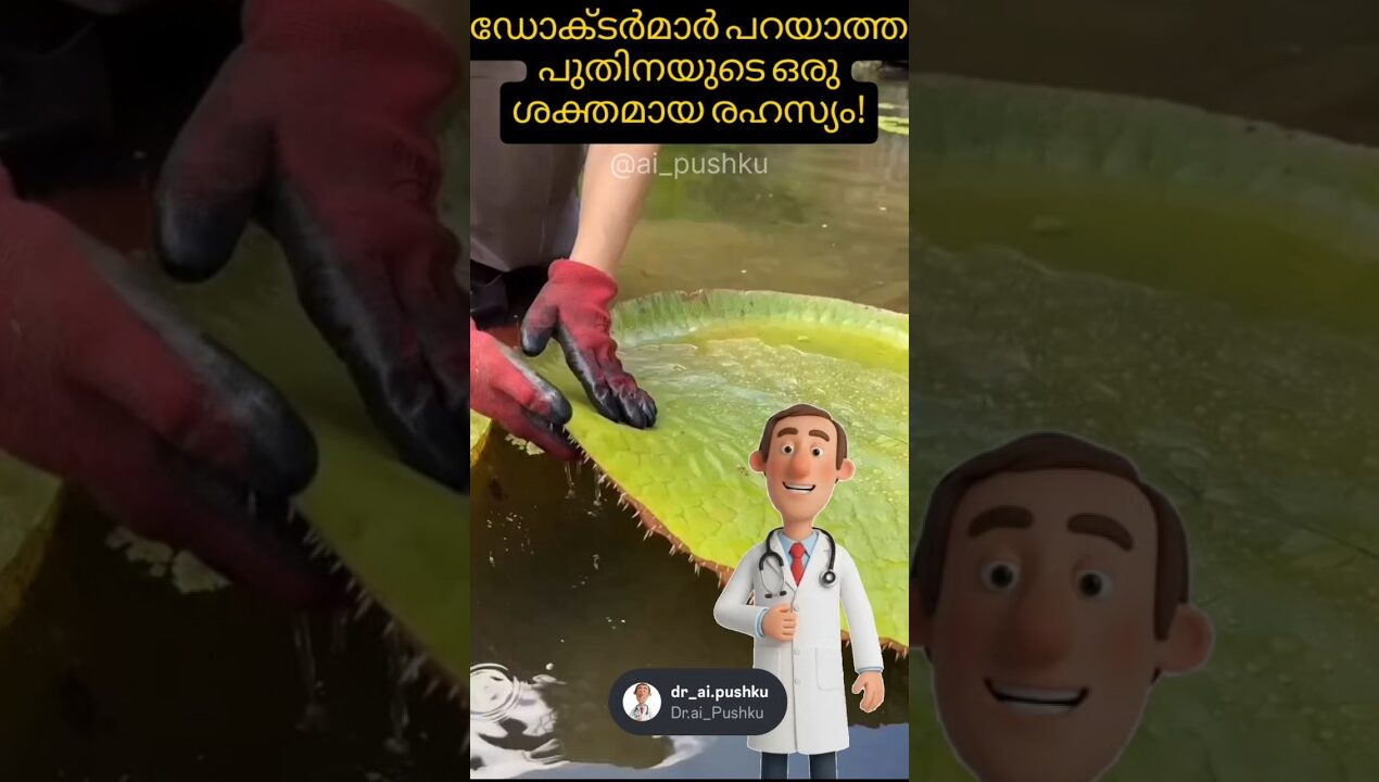 ഇനിയും അറിയാൻ വൈകിക്കൂടാ .🤭|#mint #herbaldrink #naturalhealth #malayalam #healthtips #viral2026 #diy