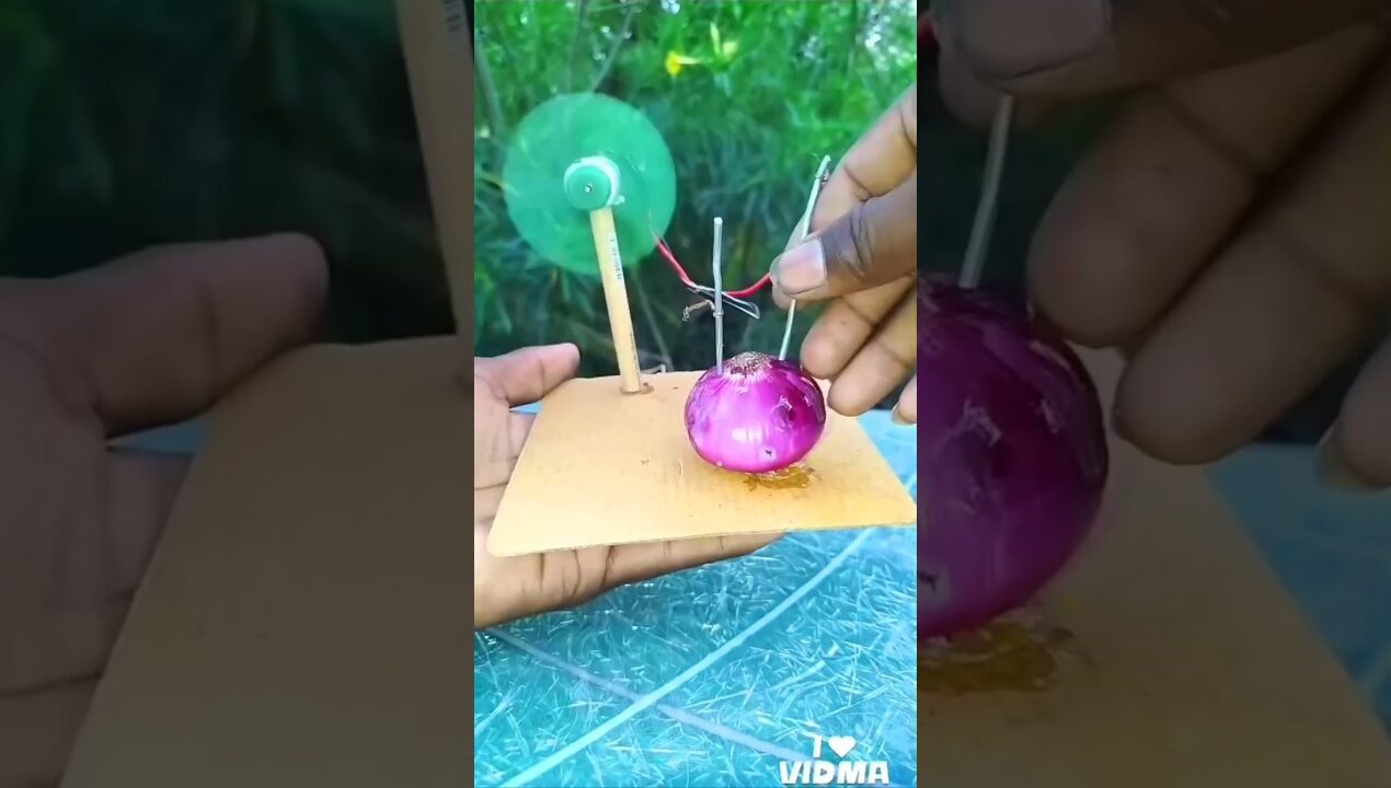 make onion free energy #diy #onion #diy #diyideas #craftideas #diycraft #art