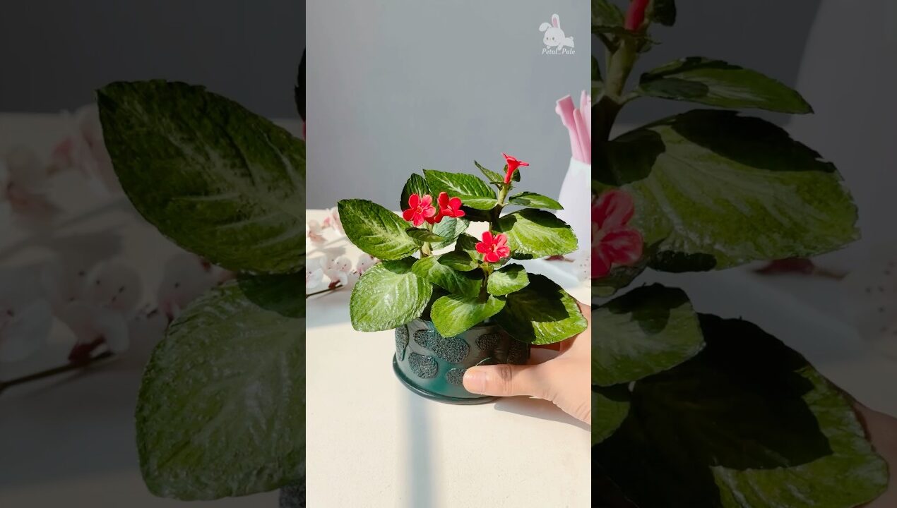 DIY Flower plant using tissue paper and homemade cold porcelain clay🍃|#shortvideos