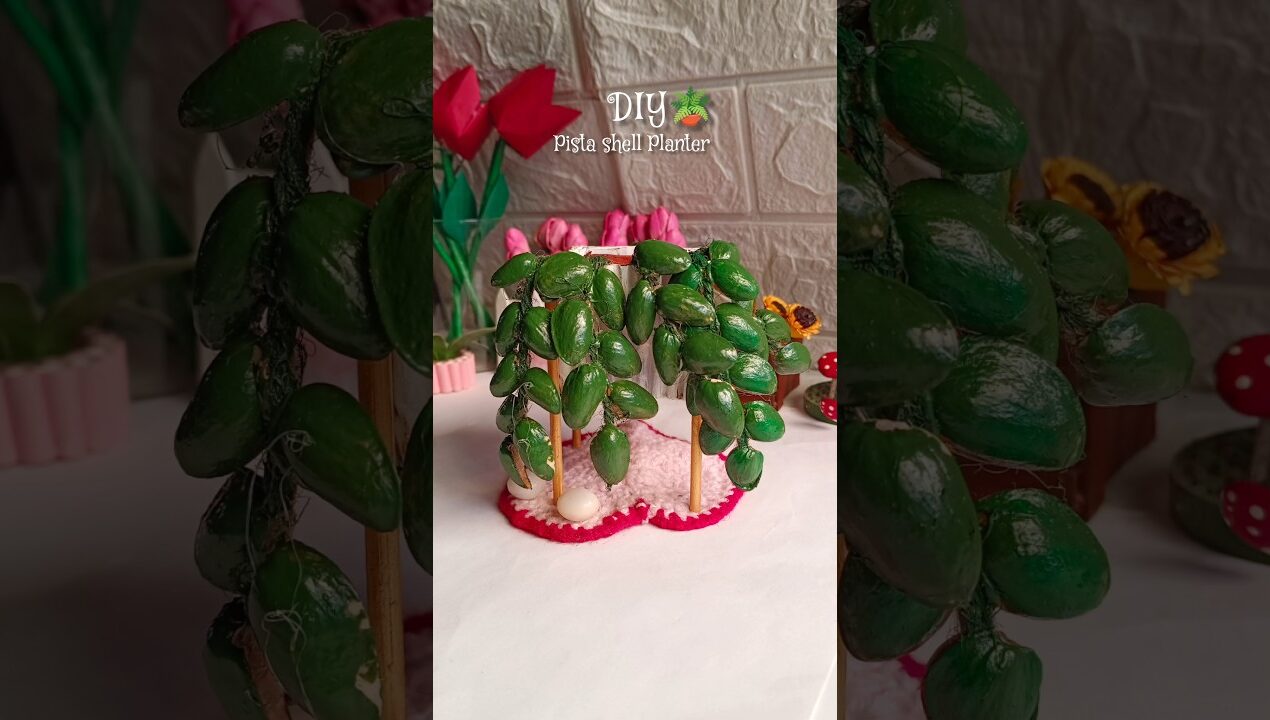 DIY Pista Shell Planter 🌱#shorts #diy #planter #craft #decor #handmade #viralvideo