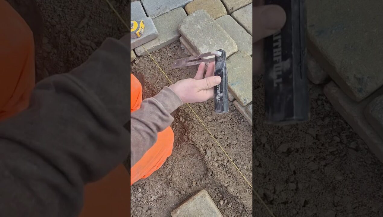 The BEST tool for paving! #shorts #diy #construction #handyman