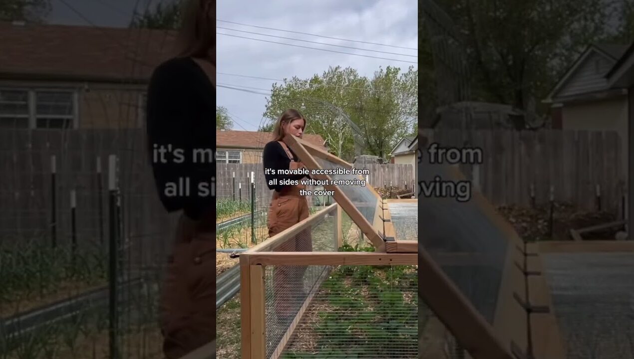 Building A Moveable Multi-Use Garden Bed Cover! #backyardgardening #backyardchickens