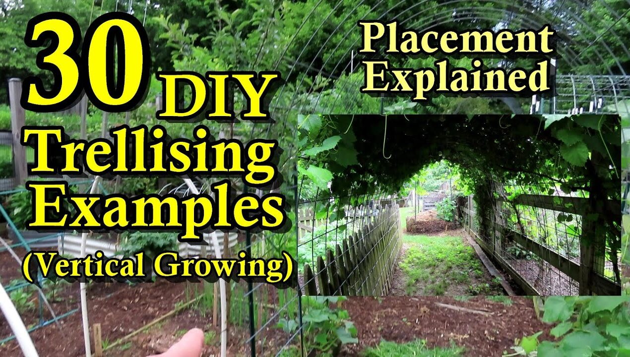30 DIY Garden Trellising Examples (Build Overview, Crop Examples, & Placement Strategies)