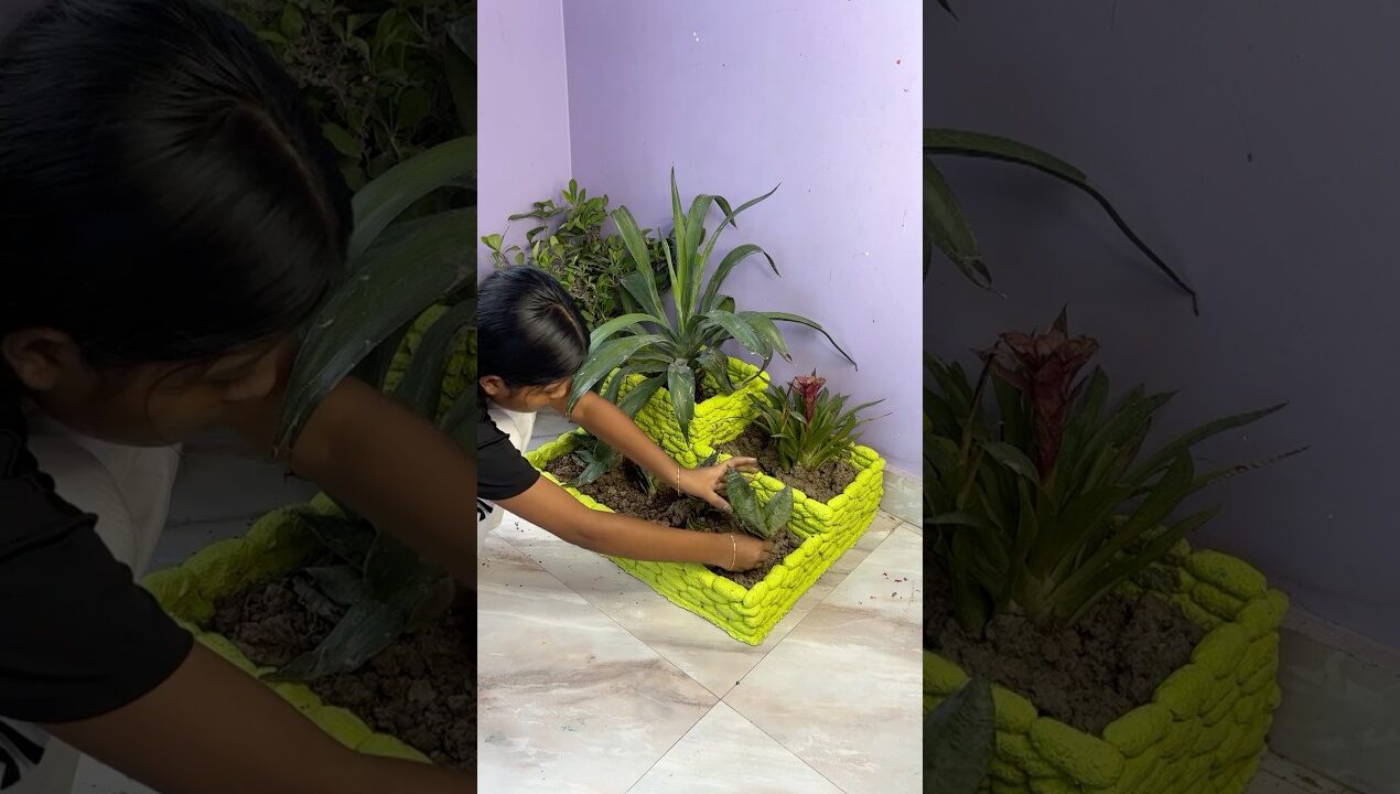 Tharmocal and Cement craft 🫶🏻 #garden #crafts #reels #flowerpot