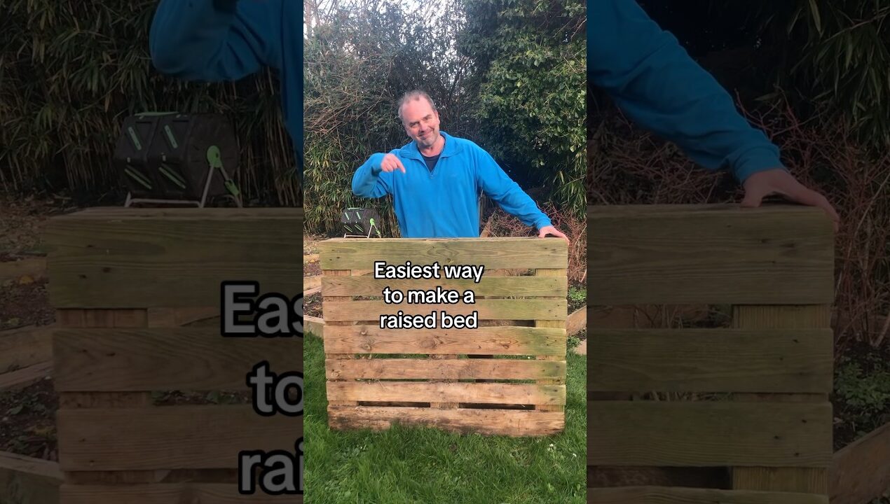 How to make a simple raised bed from pallets #gardening