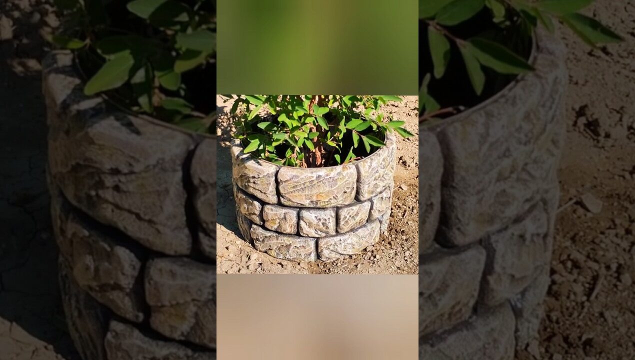 DIY cement ideas for garden #cementcraftideas #5minutecrafts #diy