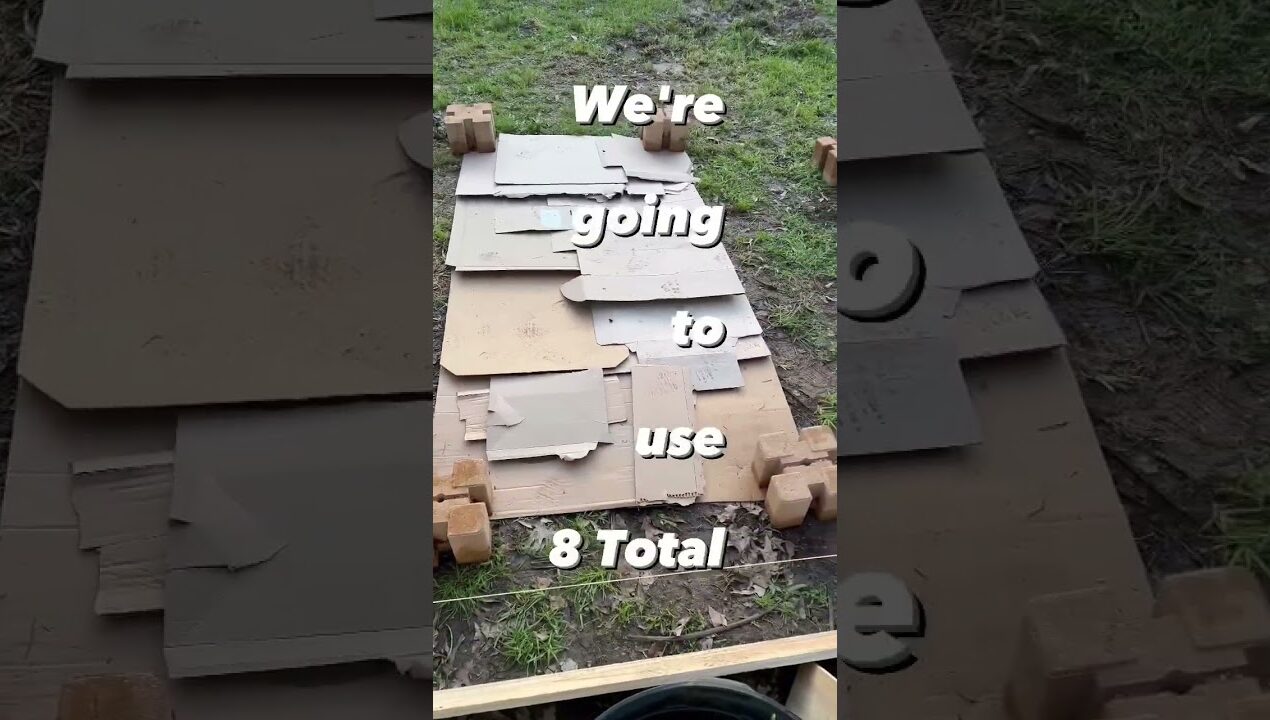 CHEAP! How to Build a Raised Garden Bed! 2023😎🙀