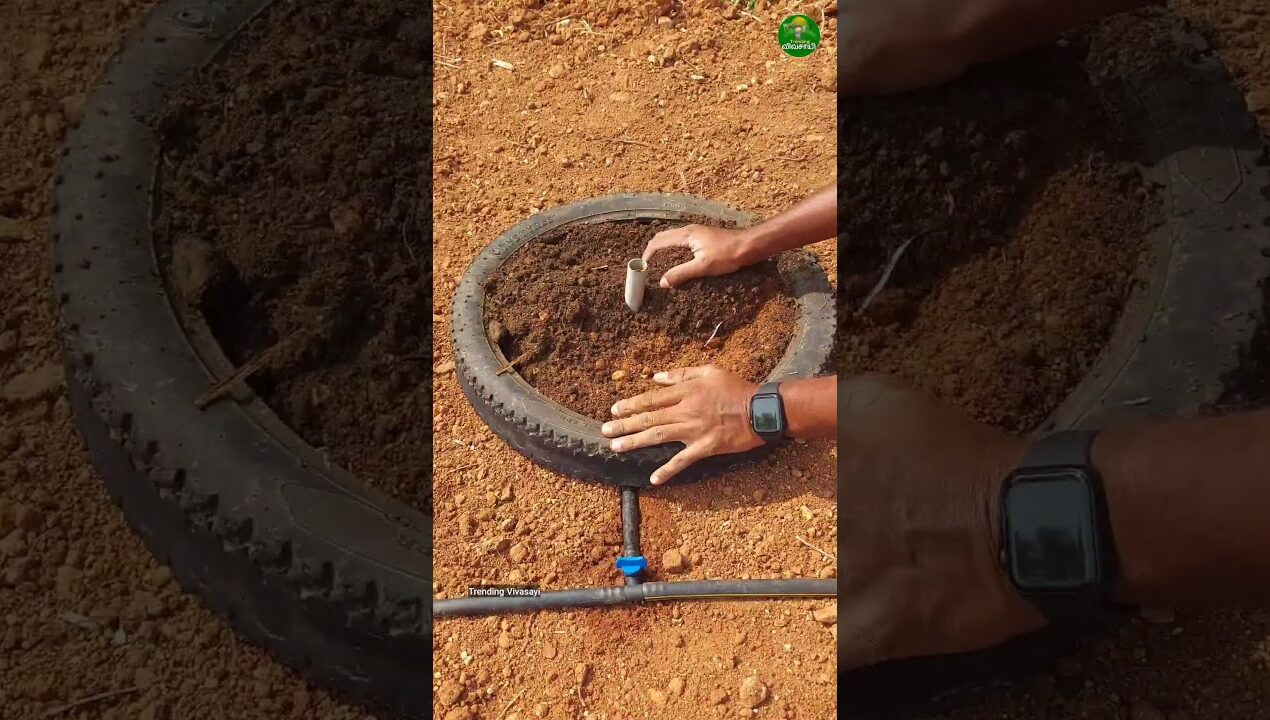 🔥Gardening idea!!👌🏻👆🏻Sprinkler method for home garden! #gardening #ideas #short