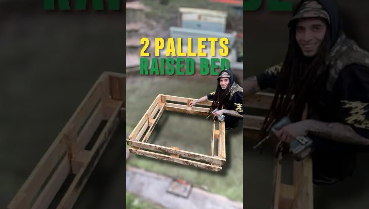 Easy Raised Bed made with 2 Pallets 😁 #gardenbeds #garden #recycleupcycle #diy #raisedbeds