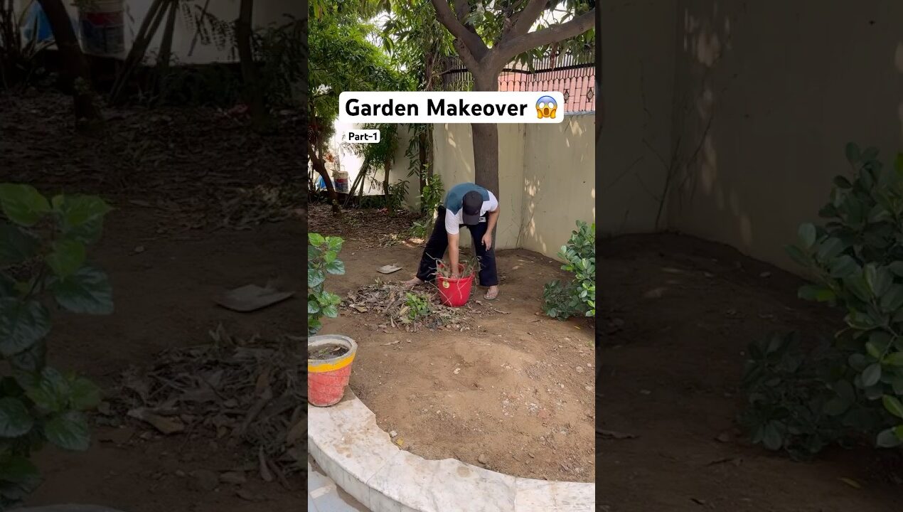 Maine kiya GARDEN ka * Makeover* 😱 | diy at home | part-1 @Param_aedy #shorts #shortsfeed