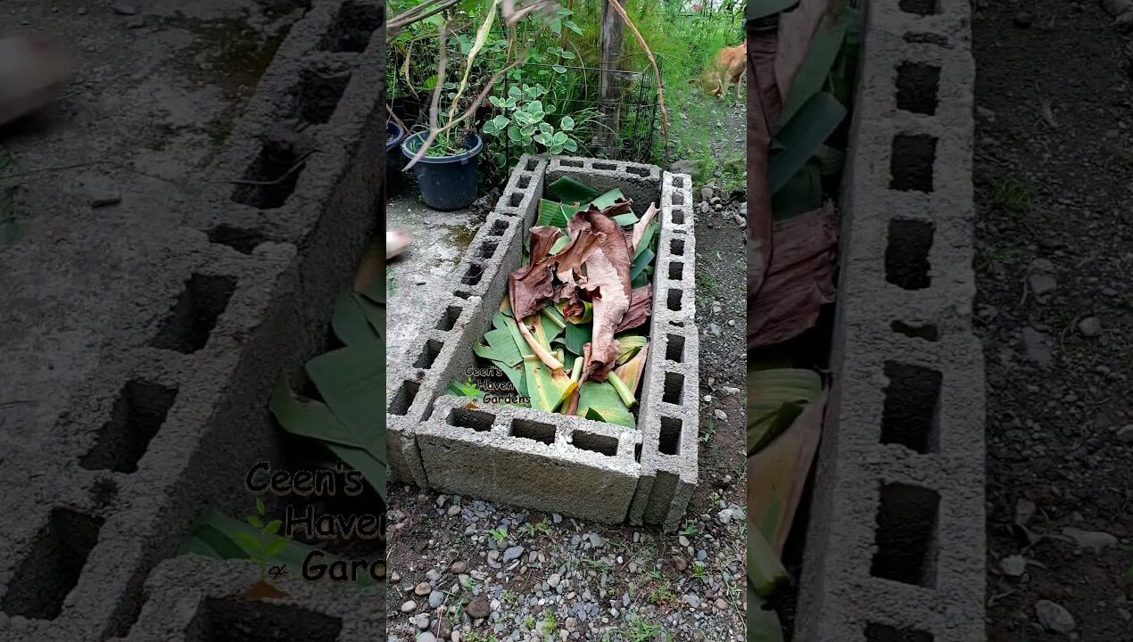 Small Easy Raised Garden Bed #gardening #viralshort #garden #viralvideo #garden #viral #organic