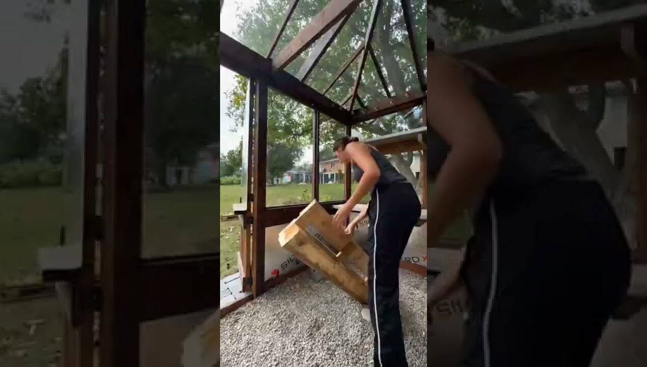 Backyard Greenhouse Interior Reveal! #shorts #gardening
