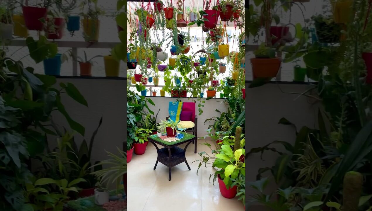 Balcony garden ideas/ Balcony plant arrangement #shortsviral #homedecor #balconygardentour
