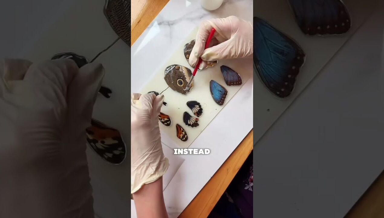 Would you get one?🥹🦋 #butterfly #jewellery #pocketwatch #watch #DIY