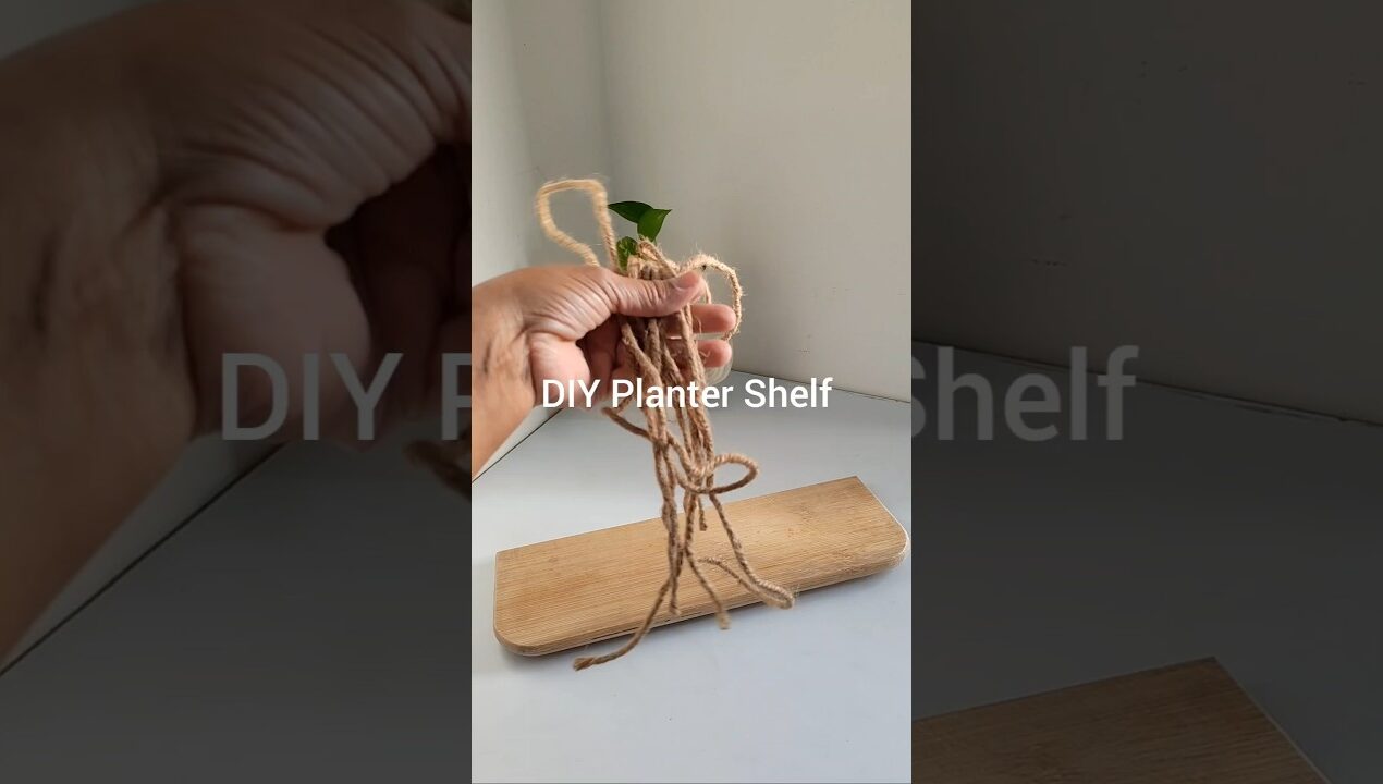 DIY Planter Shelf 🌿  #shorts #ytshorts #diy #diyforplants #handmade #craft #indoorplants #moneyplant