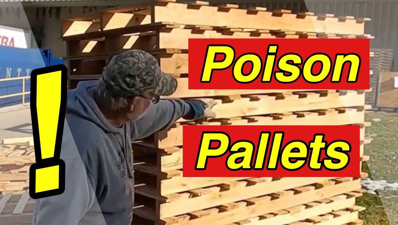 Pallet Wood Projects – Are Pallets Safe to use for Projects?