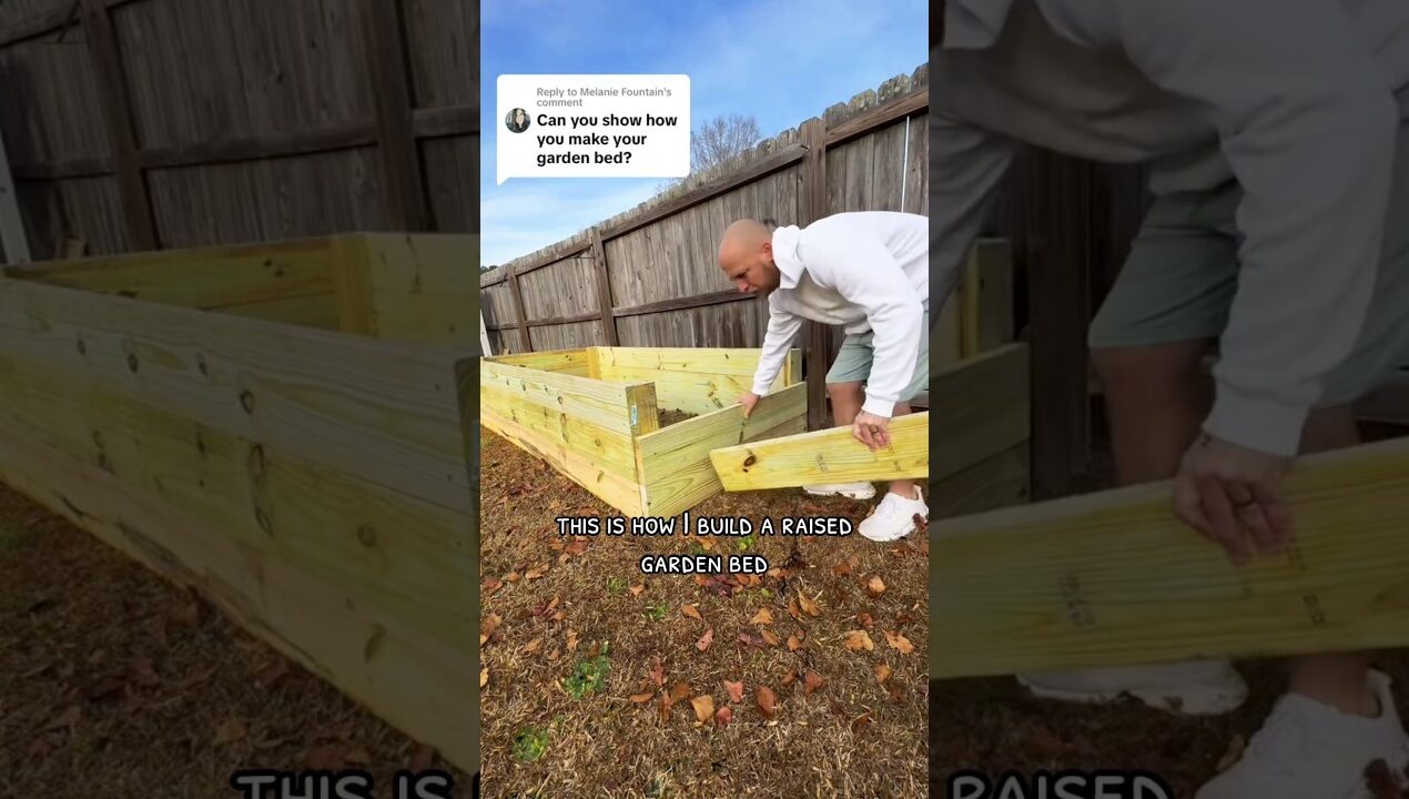 DIY Raised Garden Bed Build #diy #garden #plants
