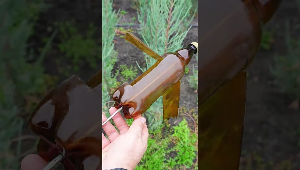 Plastic Bottle Garden Hack: DIY Bird & Mole Repellent! #shorts #diy #skills #tips