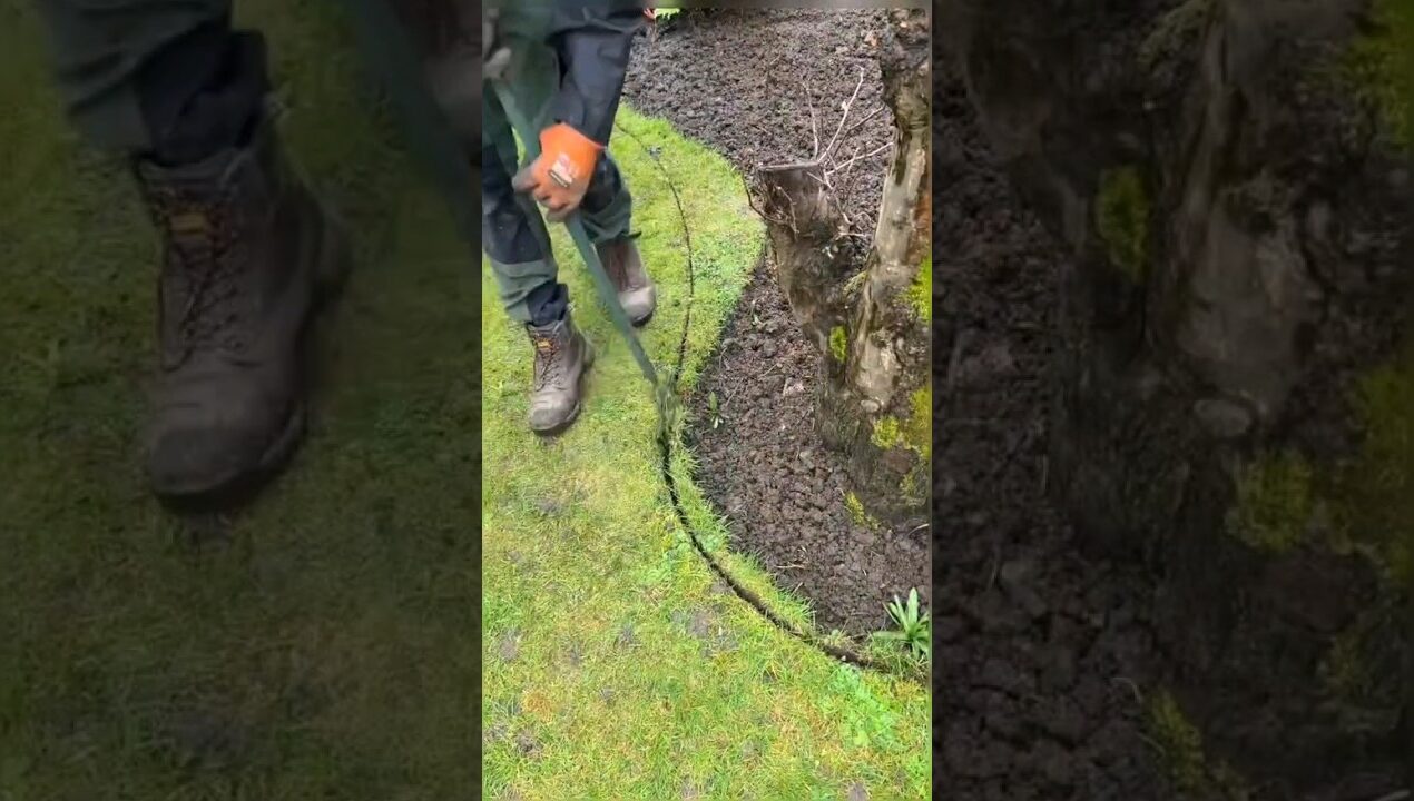 Shaping Lawn By Hand.. Super Satisfying Edging.. #lawn #gardening #lawncare #satisfying #diy #garden