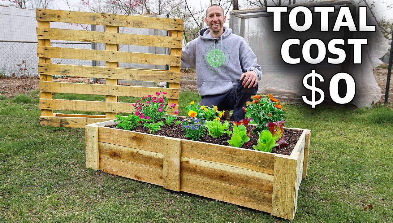 How to Build a Mini RAISED BED Using ONE PALLET, FREE Backyard Gardening!