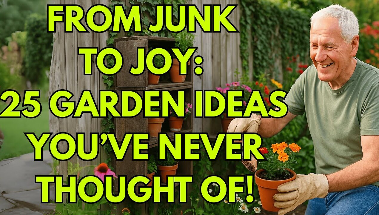 From Junk to Joy: 25 Garden Ideas You’ve Never Thought Of!