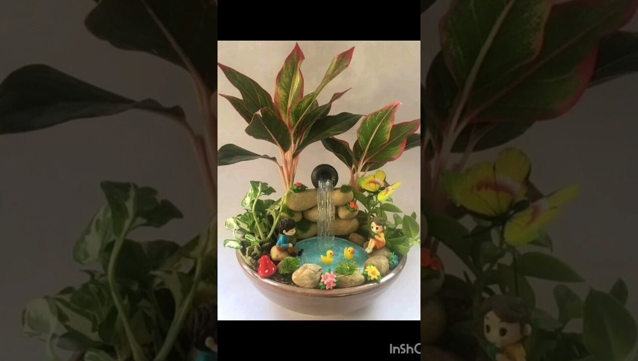 Tray garden ideas #ytshorts