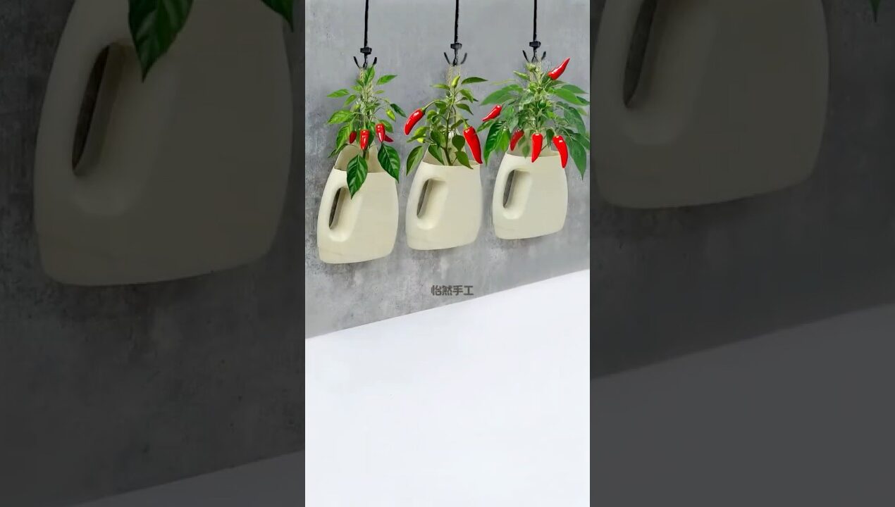 Plants Decorate Hanging Balcony Garden Ideas, recycle plastic bottles turned into pots #shorts #diy