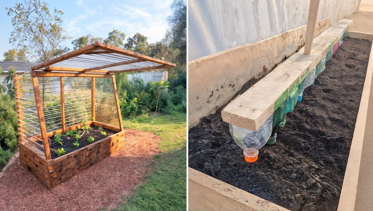 Genius Garden Hacks that Actually WORK