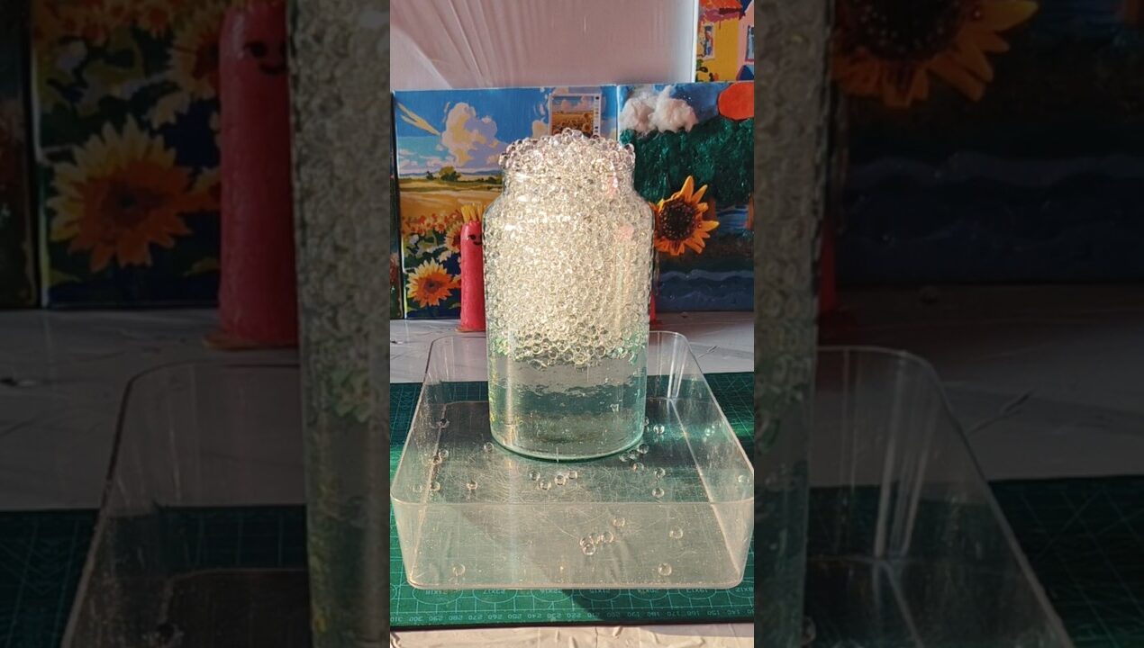 6903(18)การเจริญเติบโตของออบีซใส#orbeez#diy