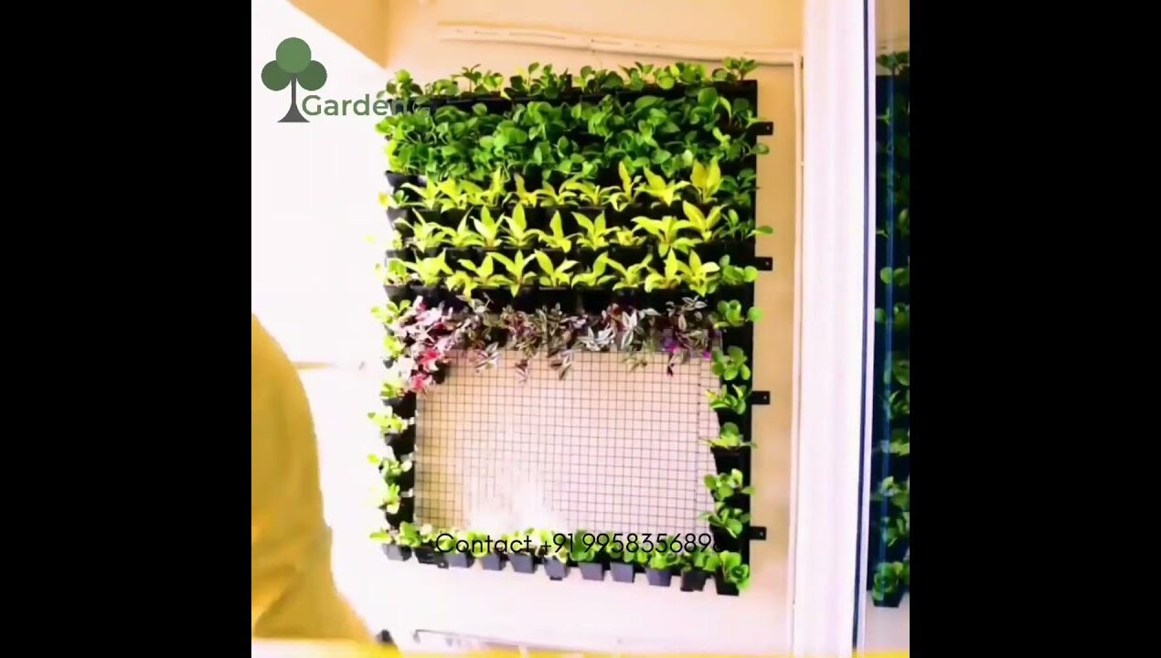 Natural Vertical Garden Installation | Natural Green Wall Design | Green Wall Ideas #viral #delhincr