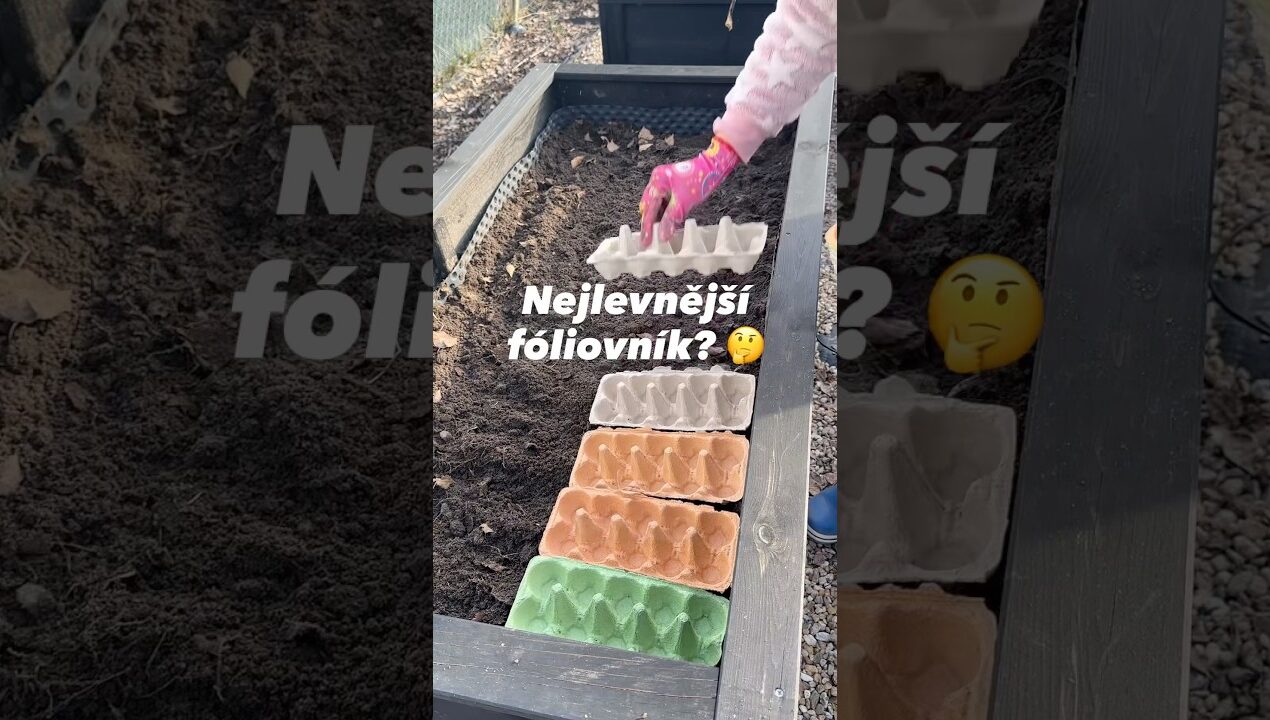 Jak vyrobit nejlevnější fóliovník? 😅 Myslíte, že to bude fungovat? 🤔 #diy #foliovnik #zahrada