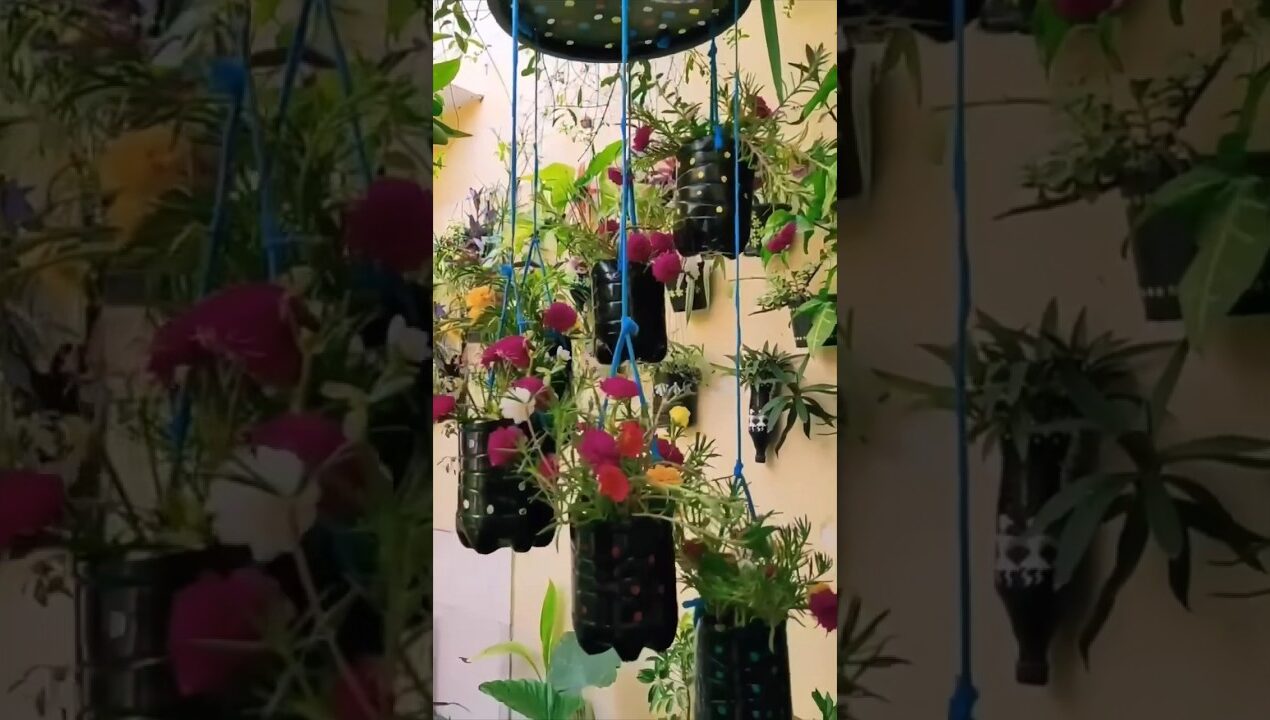 Diy Hanging Jhula Planter #trending #gardening #shorts